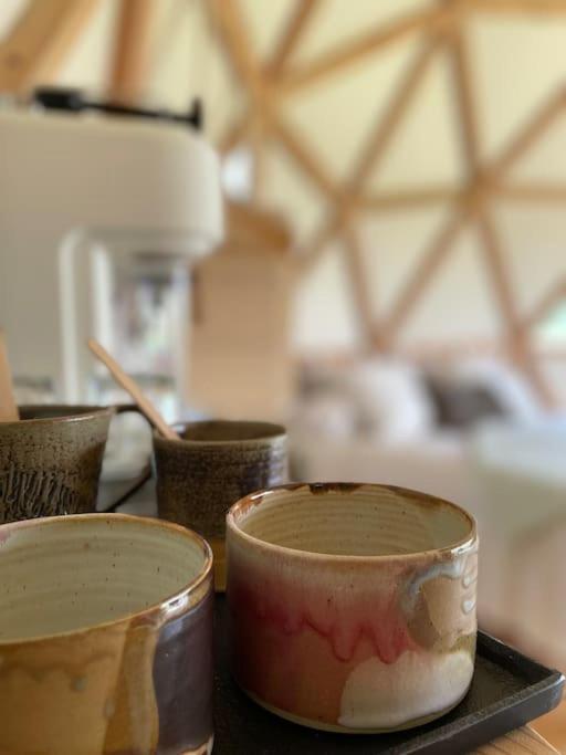 Dome Insolite Lichen Jacuzzi Et Petits-Dejeuners Inclus Gondrin Екстериор снимка