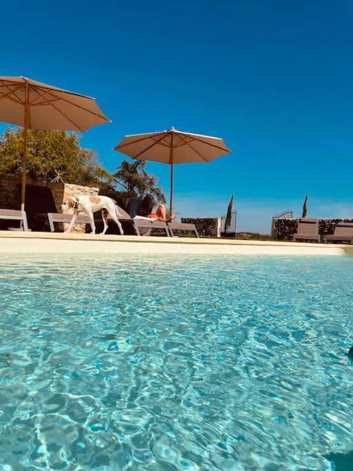 Dome Insolite Lichen Jacuzzi Et Petits-Dejeuners Inclus Gondrin Екстериор снимка